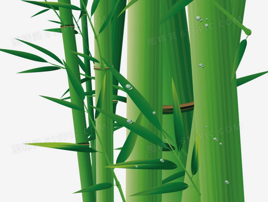 Bamboo Flooring Indoor